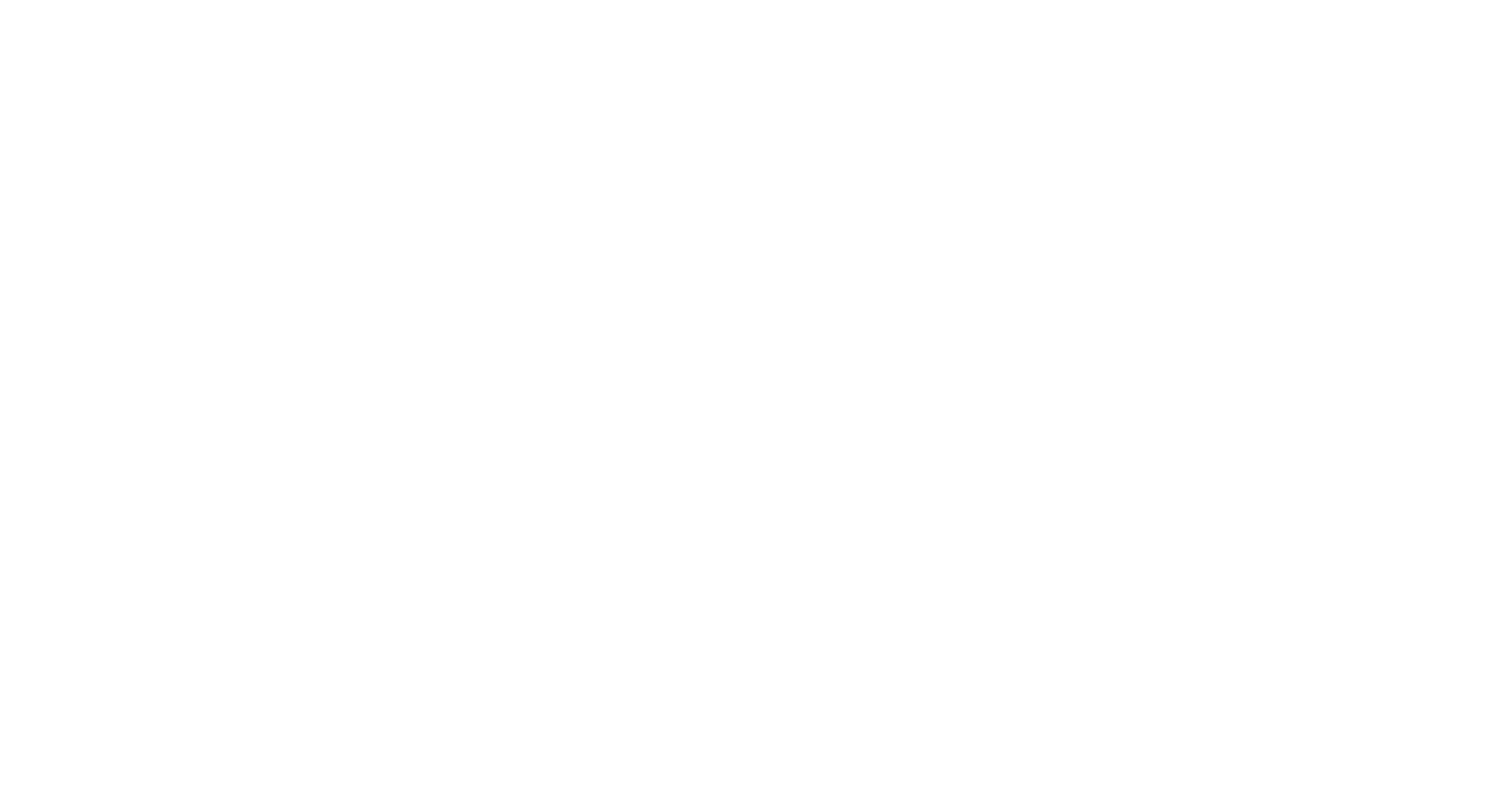 Nitin Watch Co.